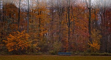 Bench for autumn