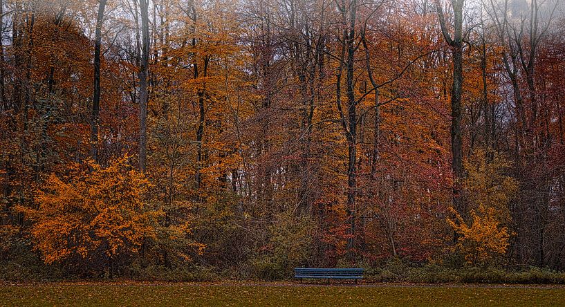 Bench for autumn by peterheinspictures
