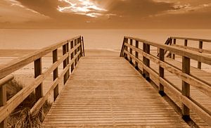 Meerblick ( Zeeland ) in Sepia