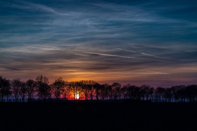 Boomdijk avec soleil couchant par René Groenendijk