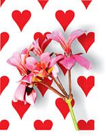 Valentijns bloem