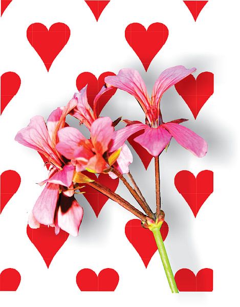Valentijns bloem van Gerrit Neuteboom
