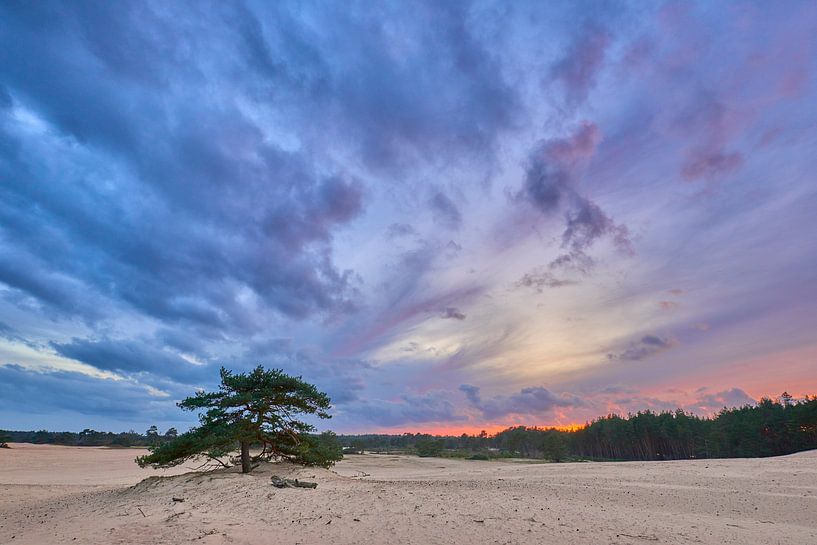 Rain clouds and sunset over the Hulshorster sand by Jenco van Zalk