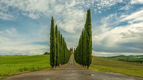 Tussen Cipressen en Wolken - Toscane - Val d'Orcia