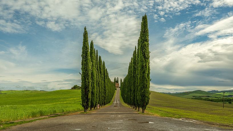 Between cypresses and clouds - Tuscany - Val d'Orcia by Teun Ruijters