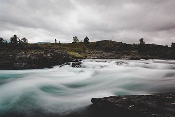 Wildwater von Emmory Schröder