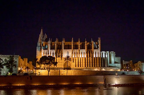 De kathedraal van Palma de Mallorca bij nacht