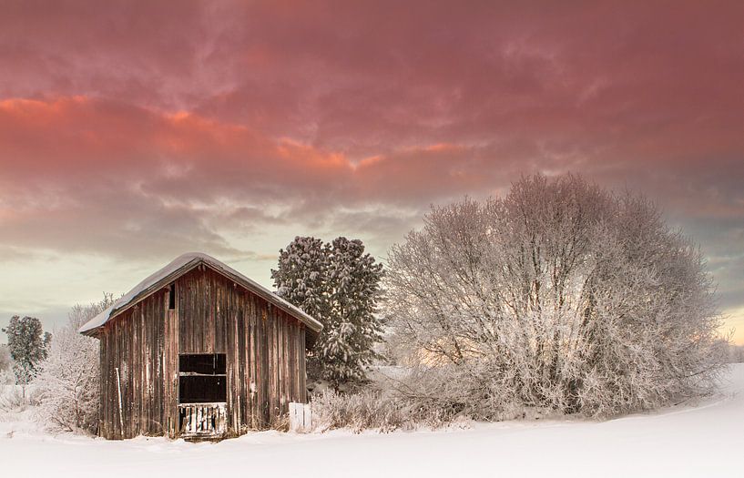 Een winterse dag in Zweden van Hamperium Photography