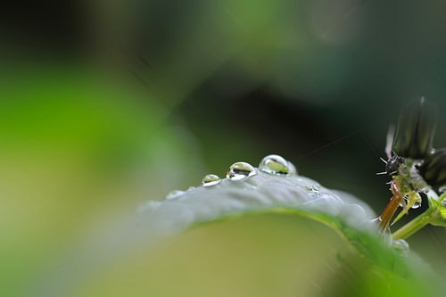 Droplets
