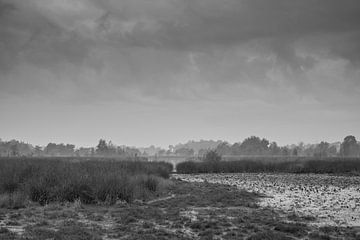 Landschaft schwarz-weiß von eric brouwer