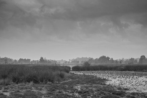 paysage en noir et blanc