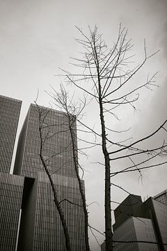 Kop van Zuid, Rotterdam. van André Bouterse