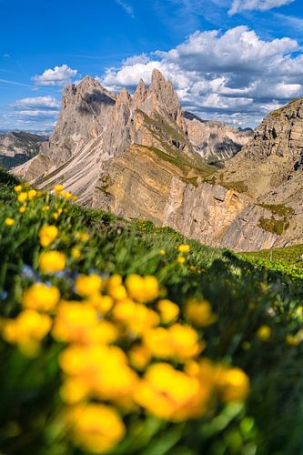 The Dolomites World Natural Heritage Site by Achim Thomae Photography