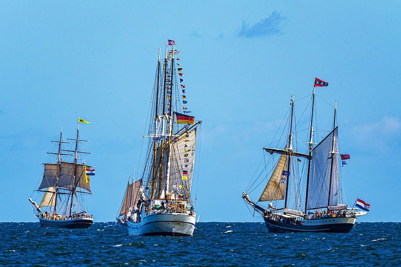 Segelschiffe auf der Ostsee während der Hanse Sail in Rostock von Rico Ködder