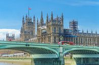 Londen Houses of Parliament van Stefania van Lieshout thumbnail