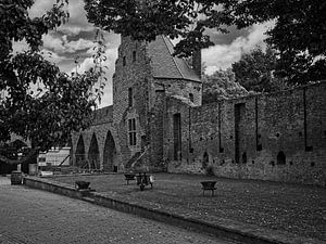 Schloss Doornenburg