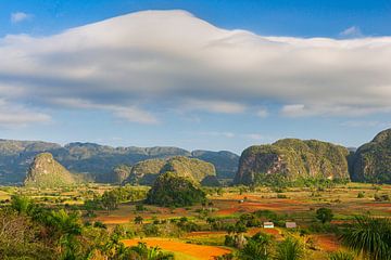 De Viñales Valley in Pinar del Río, Cuba. van Henk Meijer Photography