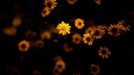 Lichtpunkt.....zwischen den Duschen von Jenco van Zalk