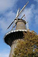Mill in Leiden