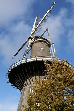 Mill in Leiden by Foto Nico