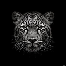 portrait dramatique en noir et blanc de la tête d'un léopard / d'une panthère sur Margriet Hulsker
