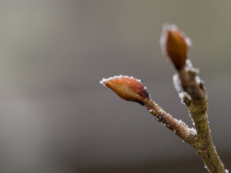 nature is ripe by MvdP fotografie