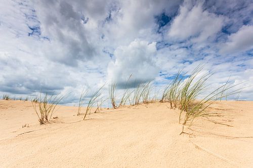 Tallgrass on Aekingerzand under cloudy skies by Jurjen Veerman