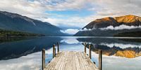 Sonnenaufgang am Lake Rotoiti, Nelson Lakes National Park, Neuseeland von Markus Lange Miniaturansicht