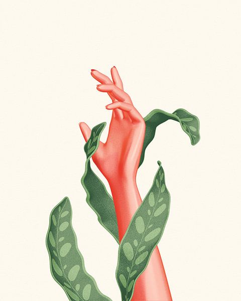 Calathea à main (serpent à sonnette) lancifolia par Klaudia Kogut