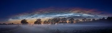 Leuchtende Nachtwolken von Karla Leeftink
