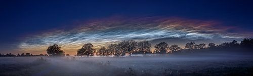 Noctilucent clouds