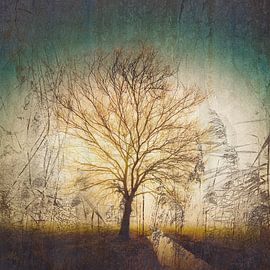 Biesbosch-Landschap in de mist 3 van Mark Isarin | Fotografie