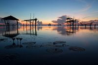 Visnetten in de wetlands van Phattalung, Thailand
