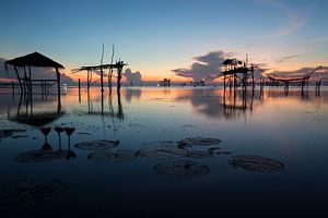 Fishing nets in the wetlands of Phattalung, Thailand