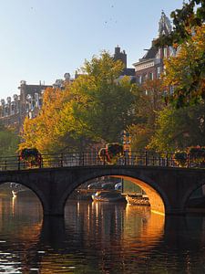 Couleurs d'automne