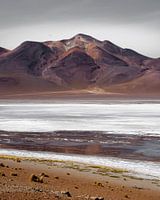 Een zoutmeer in de Boliviaanse hoogvlaktes | Bolivia