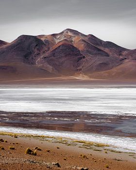 Un lac salé dans les hautes plaines de Bolivie | Bolivie
