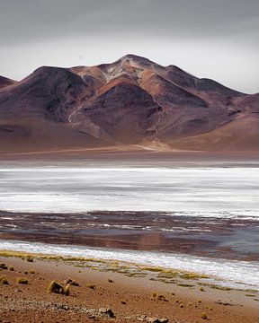 Een zoutmeer in de Boliviaanse hoogvlaktes | Bolivia van Felix Van Leusden