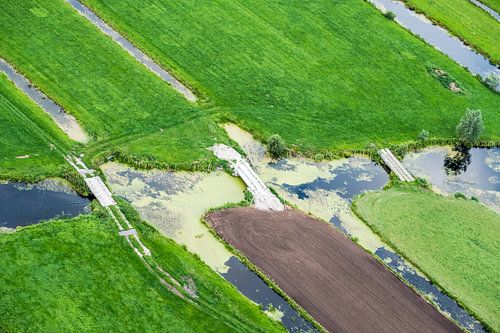 De weilanden verbonden door kleine bruggen