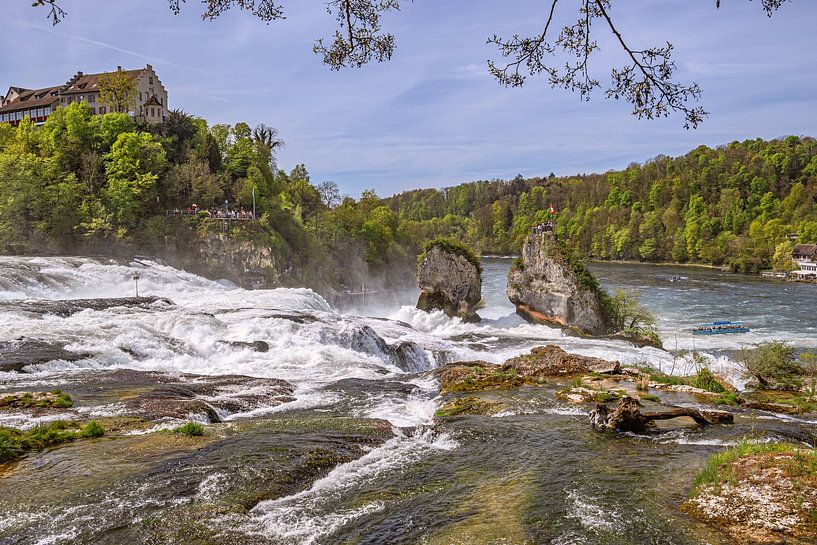 SCHWEIZ : RHEINFALL SCHAFFHAUSEN von Photoart-Naegele