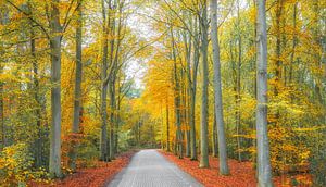 Herbst auf Texel.