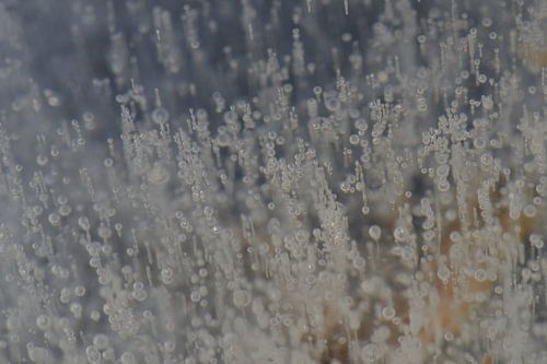 Hiver