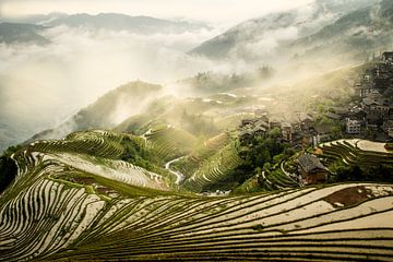 Ping'An rijstvelden in de mist by Lilian Heijmans