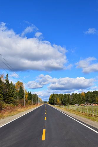 Une route de campagne en automne