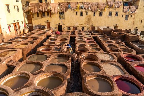 Tannerie Chouara, Fes el Bali, Morocco