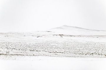 Mongolië