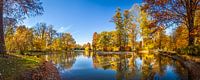 Goldener Herbst am Schwanenteich von Bad Homburg
