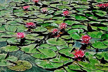 Waterlelies van Peter Roder