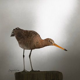 Watercolor godwit on pole by Emmy Van der knokke