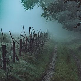 Foggy path in the morning by Yuri Verweij